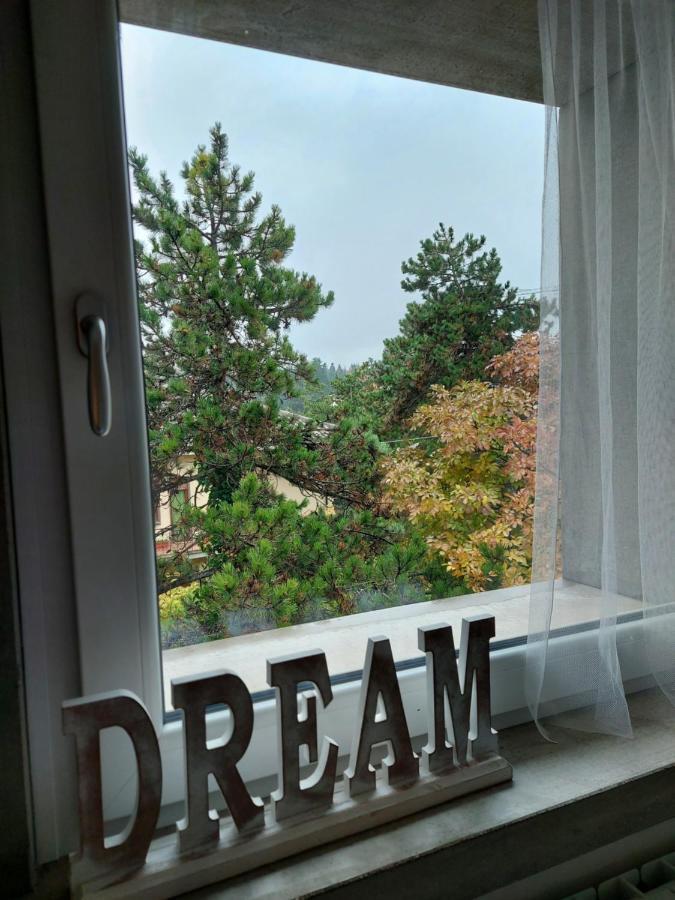 La Pineta - Delightful Small Apartment Near The City Center Л'Акуила Экстерьер фото